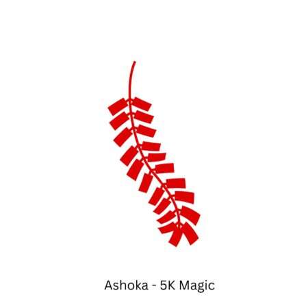 Ashoka - 5K Magic Festival Magic s