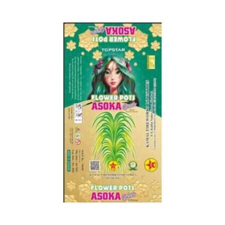 Flower Pot Ashoka (Green) by Five Star