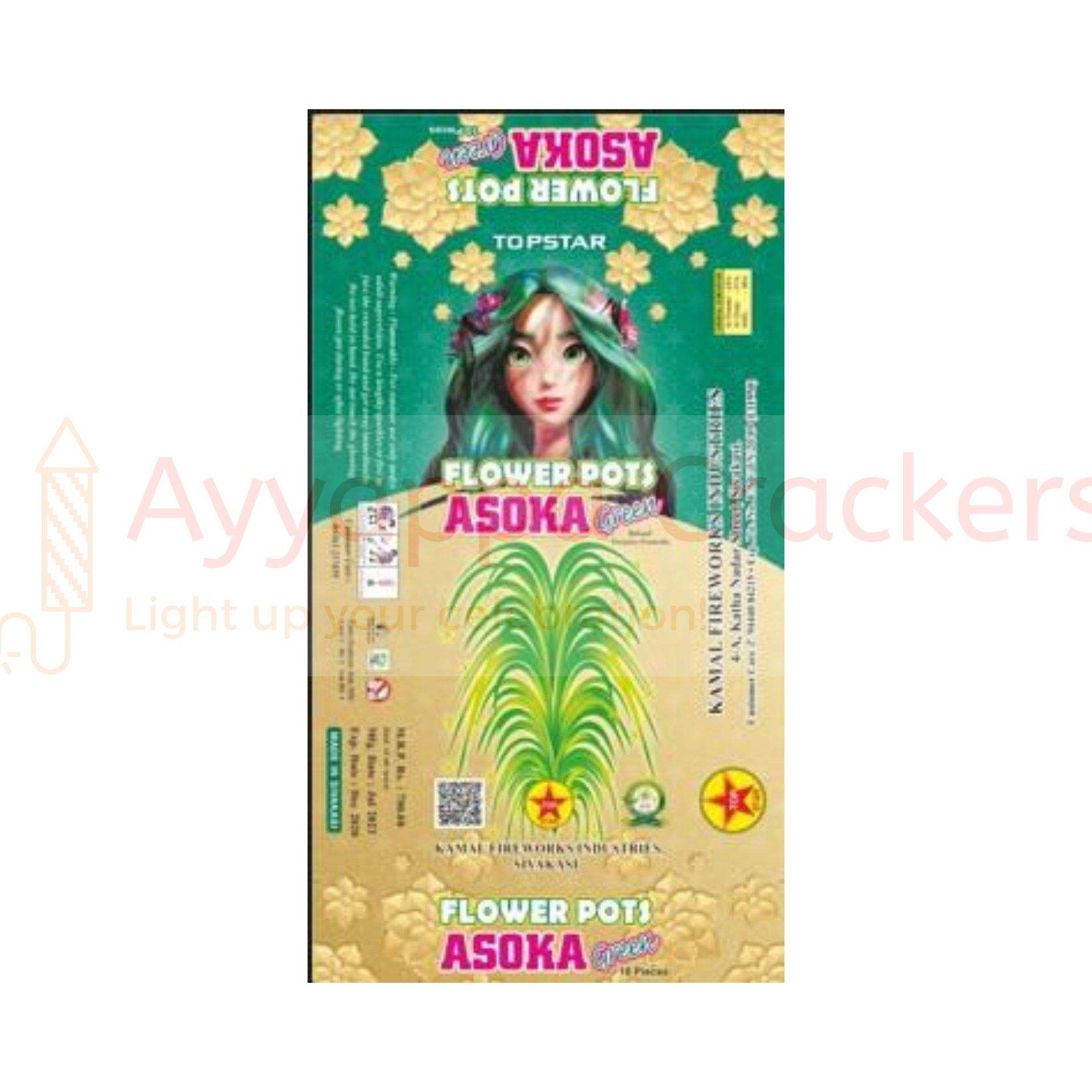 Flower Pot Ashoka (Green) by Five Star