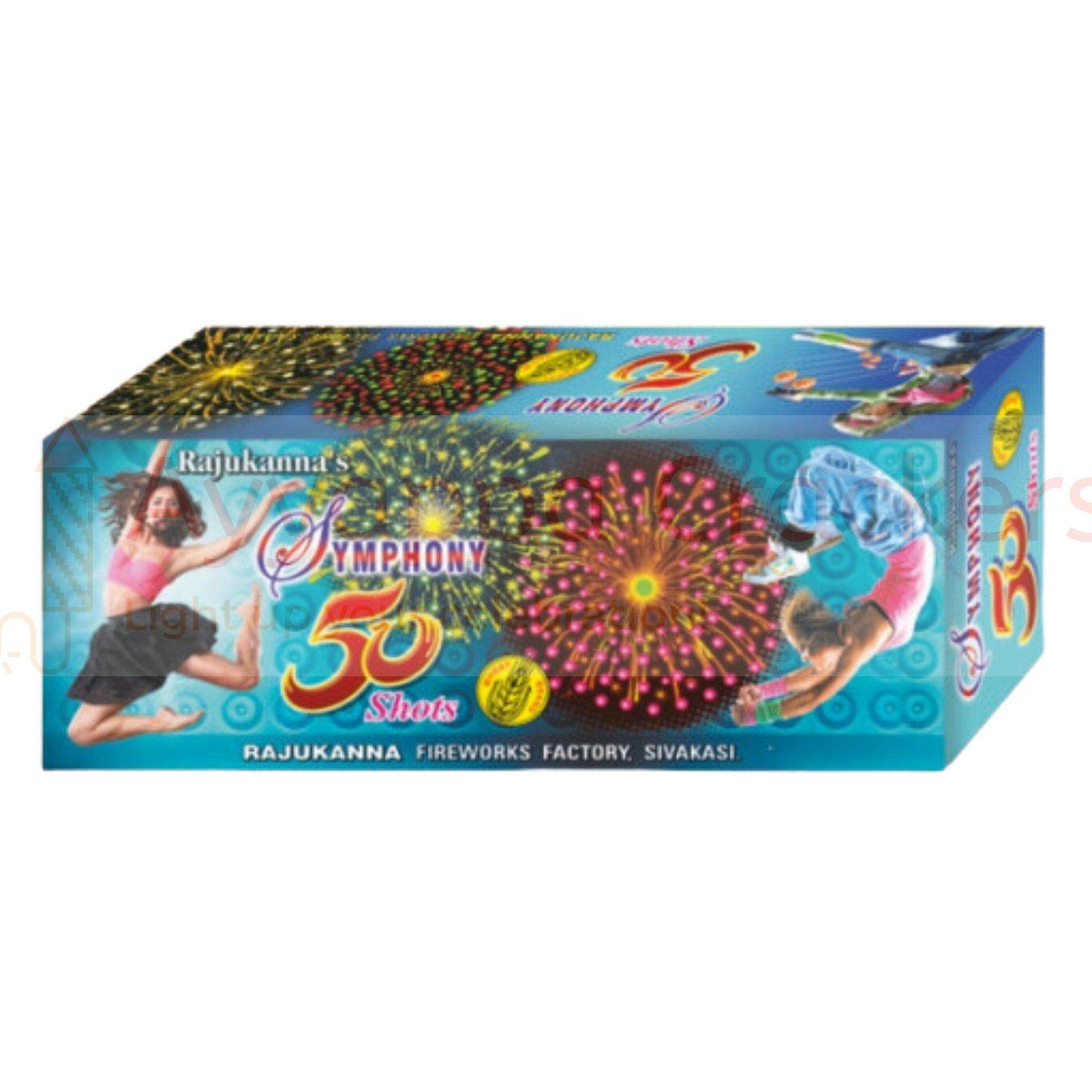 Holiday Fun 10 Shots Multiple Aerial Shots by Rajukanna