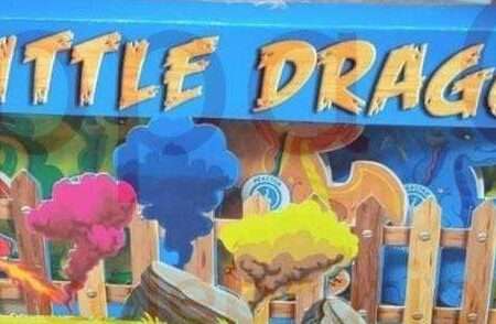 Little Dragon (New)