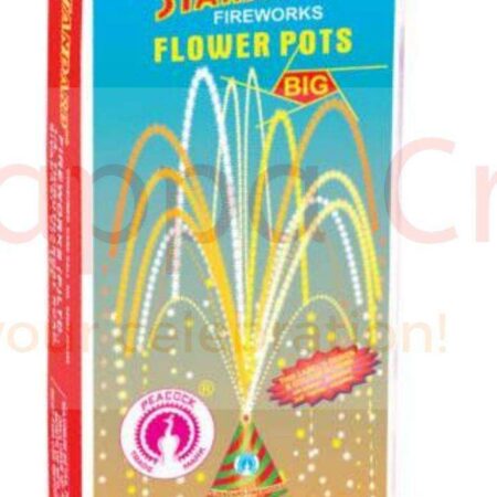 Flower Pots Big
